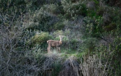 Destapando el Andévalo en Noviembre